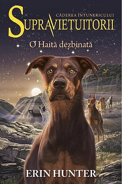 O Haită dezbinată. Supraviețuitorii (Vol. 7)