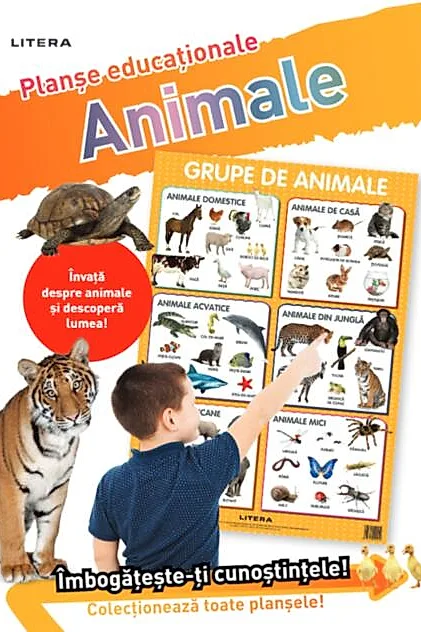 Animale. Planșe educaționale