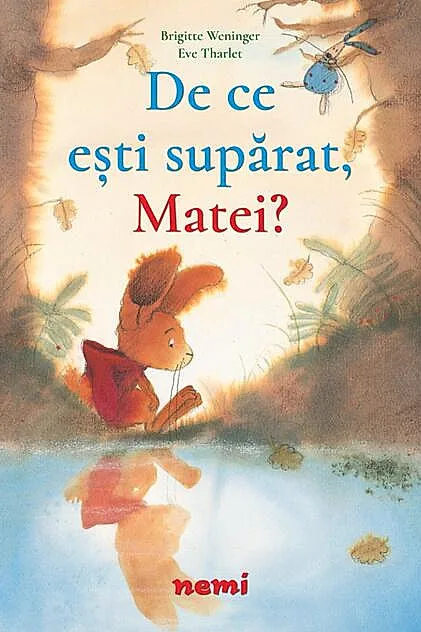 De ce ești supărat, Matei?