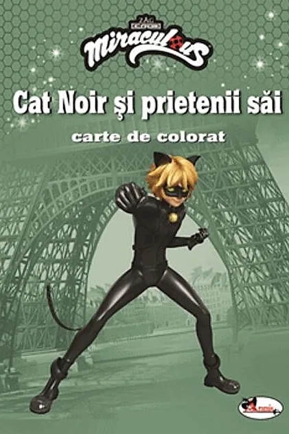 Cat Noir și prietenii săi. Carte de colorat