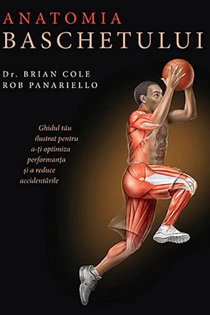Anatomia baschetului
