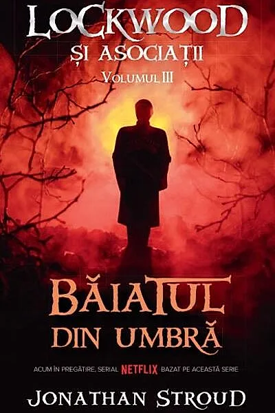 Băiatul din umbră. Seria Lockwood și asociații (Vol.3)