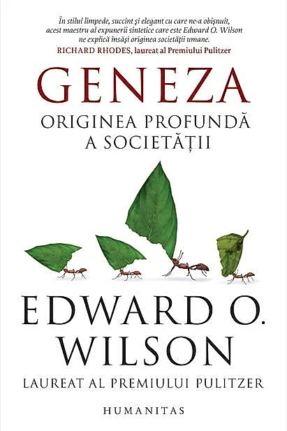 Geneza. Originea profundă a societății