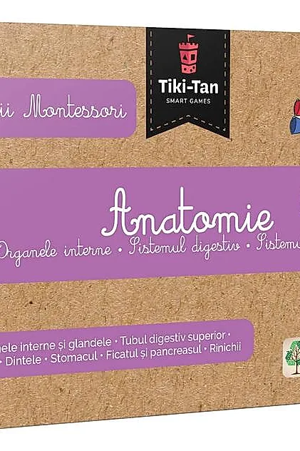 Lecţii de anatomie: Organe interne. Sistemul digestiv. Lecții Montessori