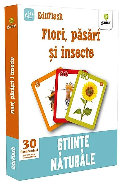 Flori, păsări și insecte. EduFlash