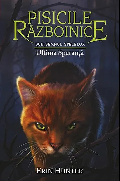 Pisicile războinice. Sub semnul stelelor. Ultima Speranță (Vol.24)