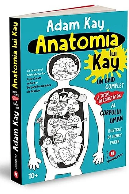 Anatomia lui Kay
