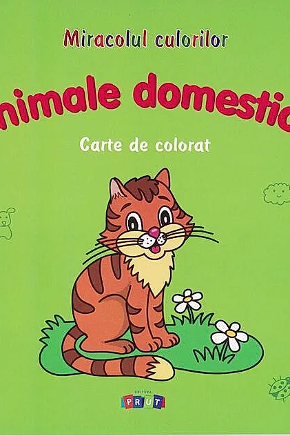 Animale domestice. Carte de colorat