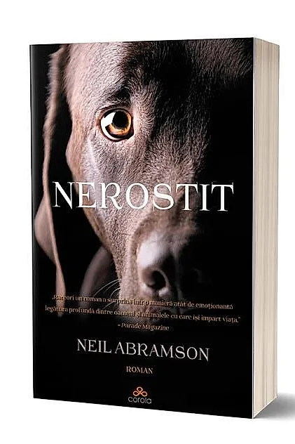 Nerostit
