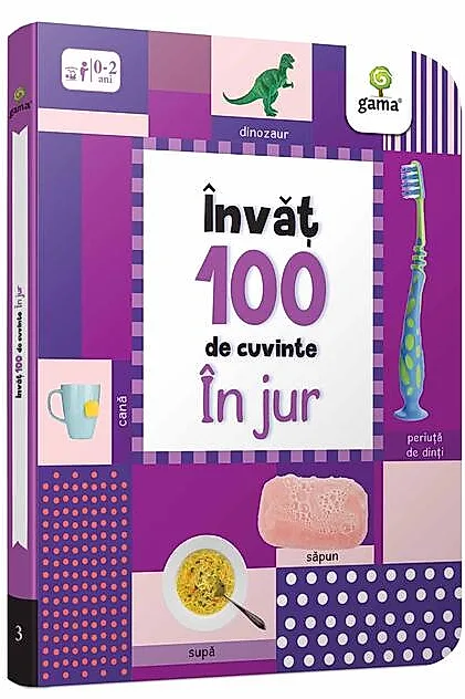 În jur. Învăț 100 de cuvinte (Vol. 3)