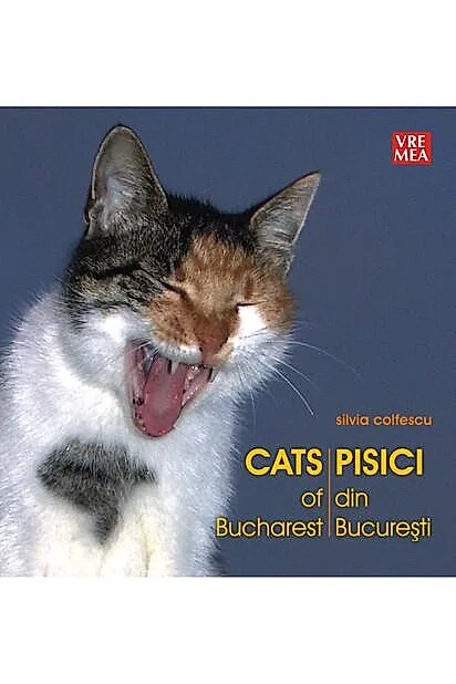 Pisici din București - Cats of Bucharest