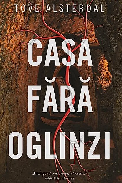 Casa fără oglinzi