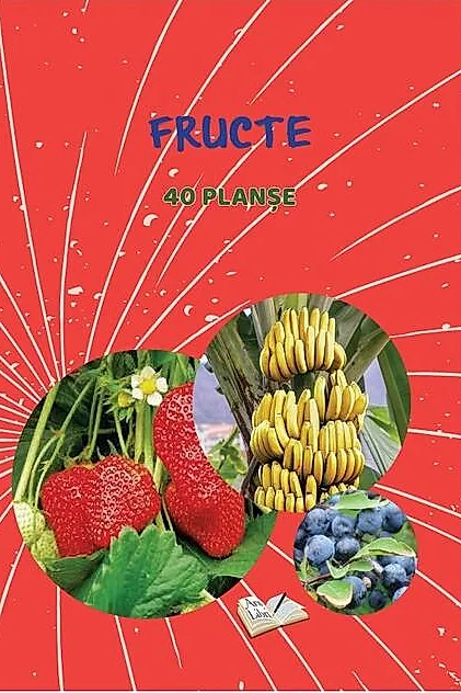 Mapă - Fructe