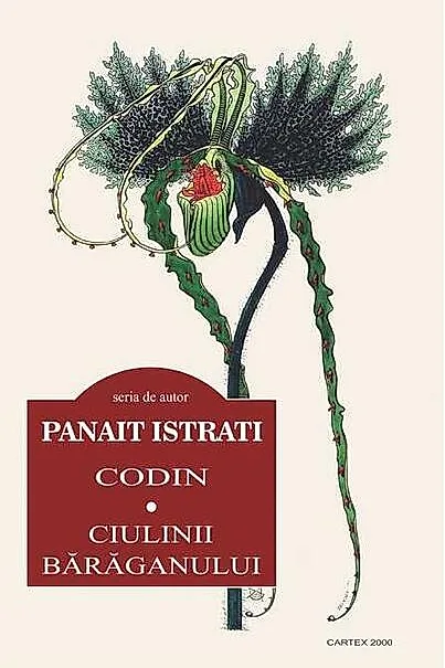 Codin • Ciulinii bărăganului