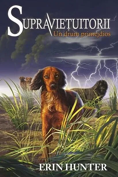Un drum primejdios. Supraviețuitorii (Vol. 4)