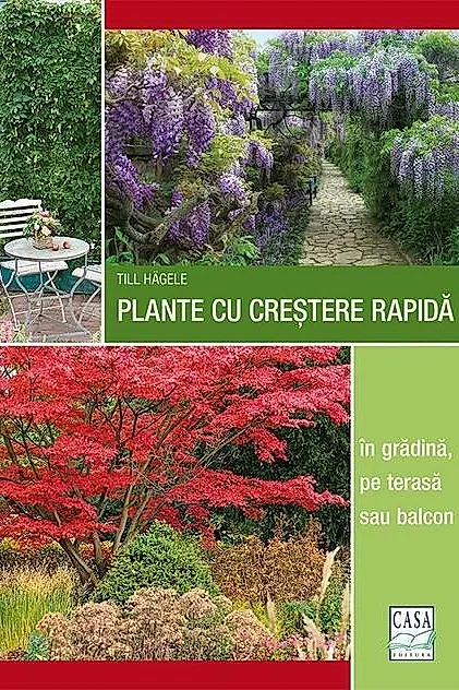 Plante cu creștere rapidă - în grădină, pe terasă sau balcon