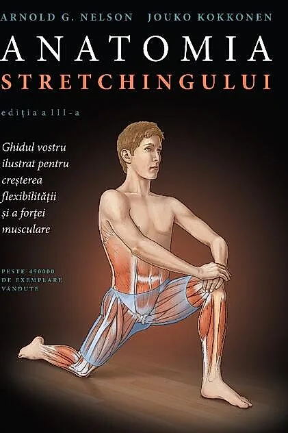 Anatomia stretchingului