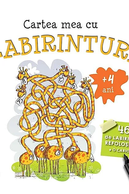 Cartea mea cu labirinturi. 46 de labirinturi refolosibile + o cariocă (4+ ani)