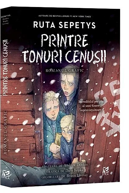 Printre tonuri cenușii