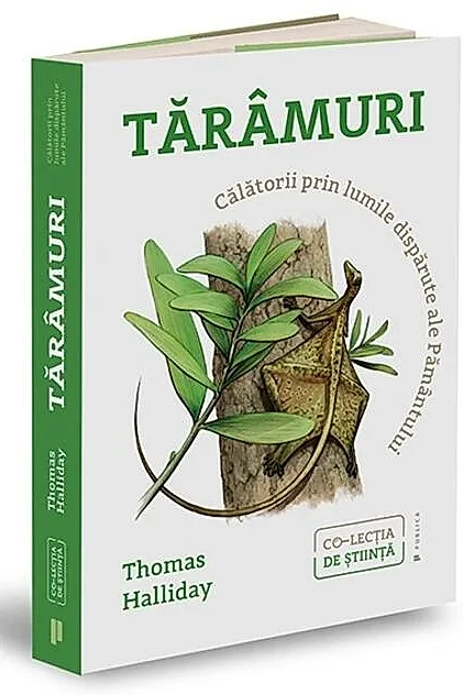 Tărâmuri