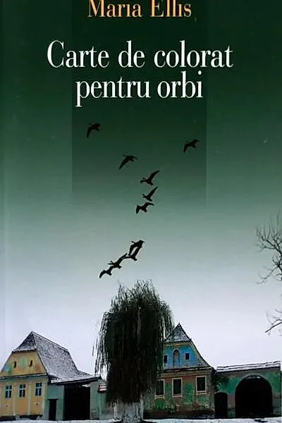 Carte de colorat pentru orbi