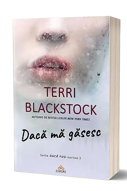 Dacă mă găsesc (Vol. 2)
