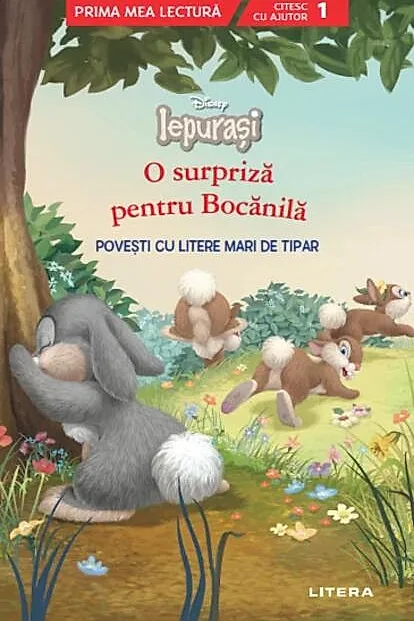 O surpriză pentru Bocănilă