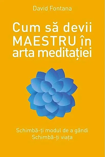 Cum să devii maestru în arta meditației
