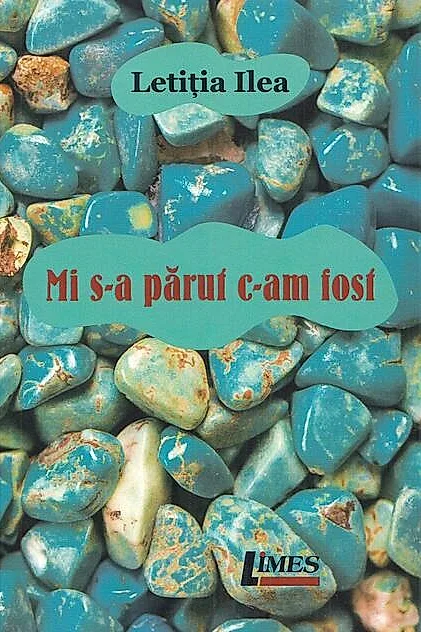 Mi s-a părut c-am fost