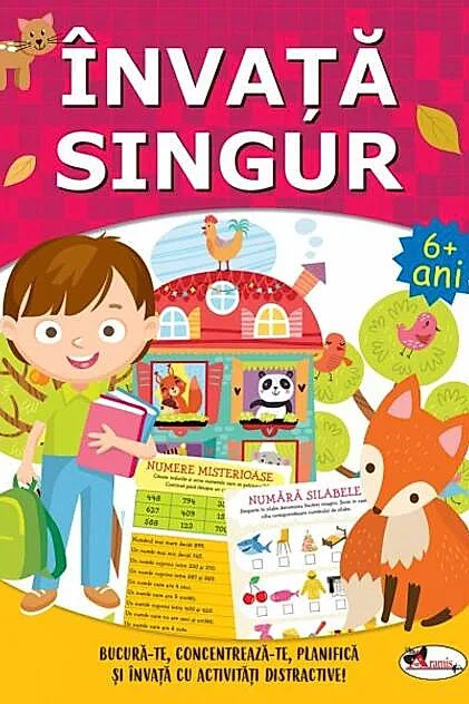 Învață singur. Carte de activitățI +6