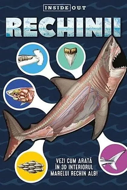 Rechinii - 3D