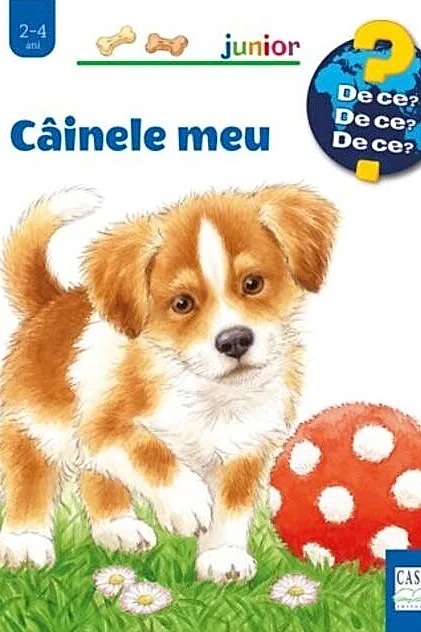 Câinele meu