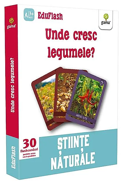 Unde cresc legumele? EduFlash