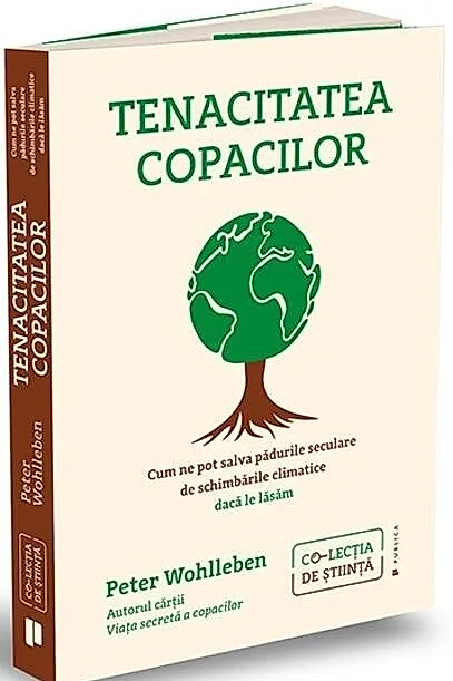 Tenacitatea copacilor