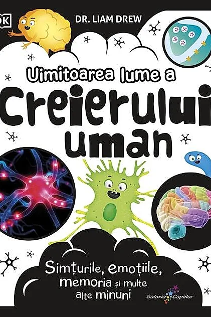 Uimitoarea lume a creierului uman
