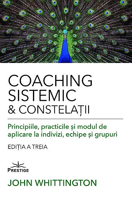 Coaching sistemic & constelații