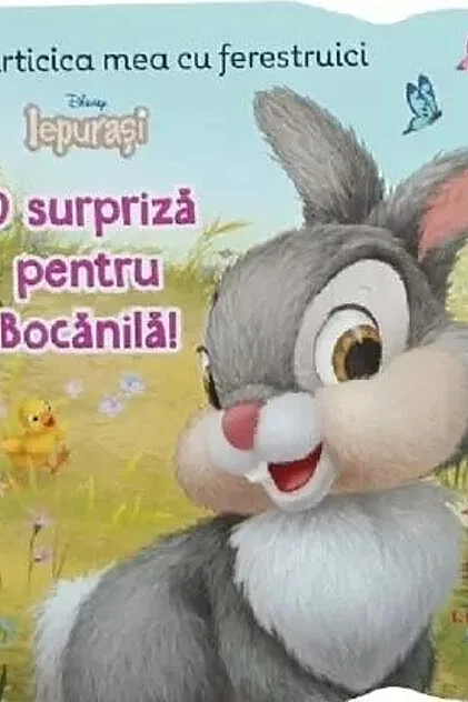 Disney Iepurași. O surpriză pentru Bocănilă