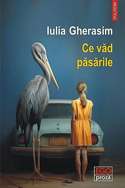 Ce văd păsările