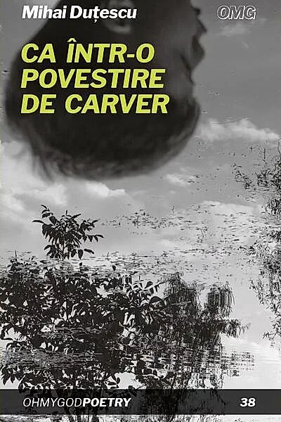 Ca într-o povestire de Carver