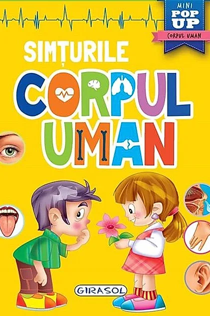 Mini pop-up: Corpul uman. Simțurile