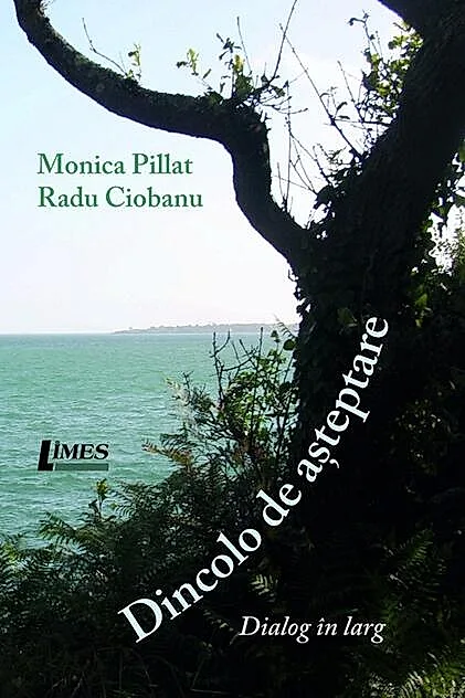 Dincolo de așteptare