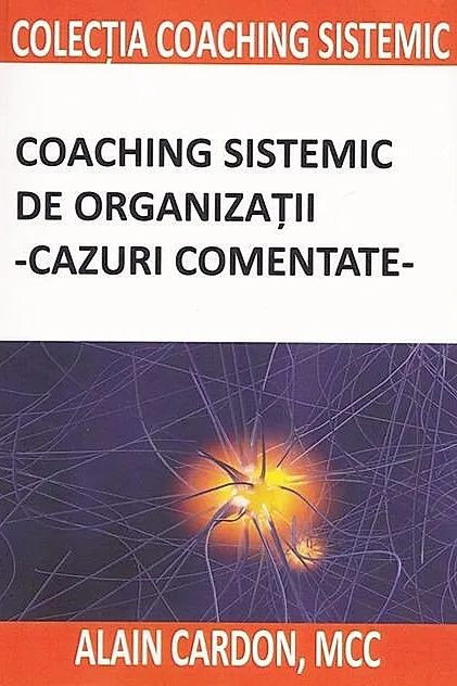 Coaching sistemic de organizații - cazuri comentate