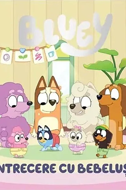 Bluey - Întrecere cu bebeluși