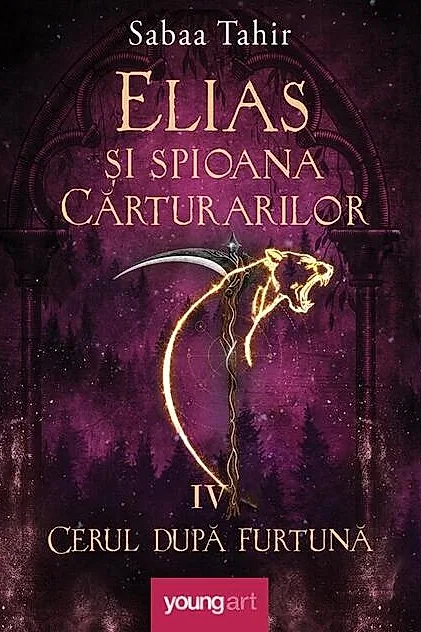 Cerul după furtună (Vol. 4)