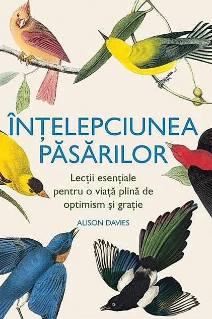 Înțelepciunea păsărilor