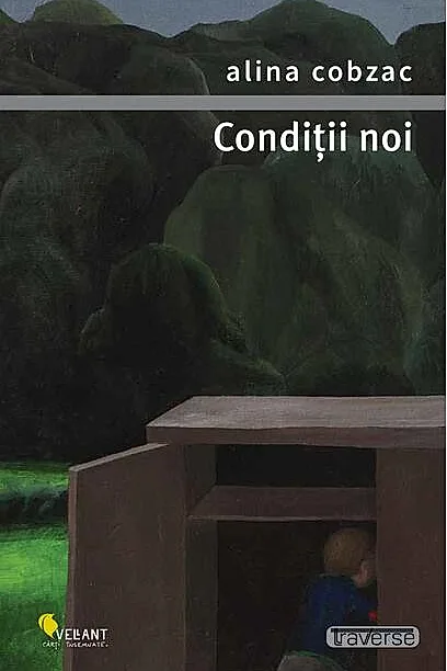 Condiții noi
