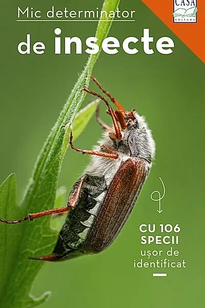 Mic determinator de insecte