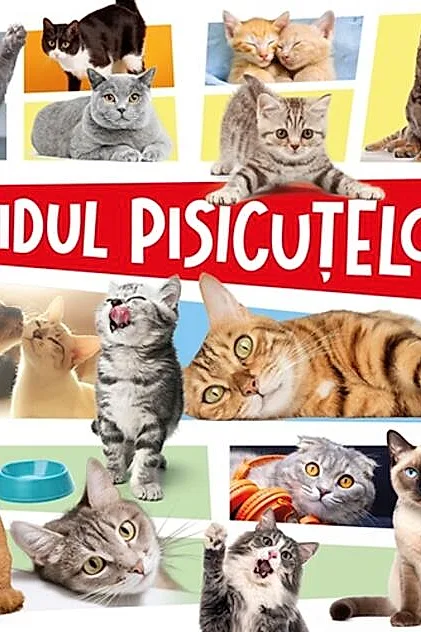 Ghidul pisicuțelor
