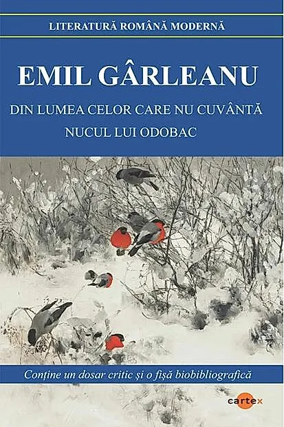 Din lumea celor care nu cuvântă