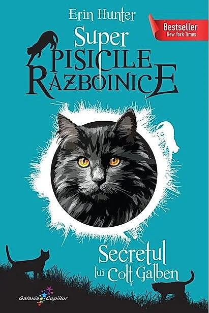 Secretul lui Colț Galben (Vol. 6)